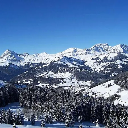 La Beguette - Chaleureux Au Pied Des Pistes De L'espace Diamant Mae-2834